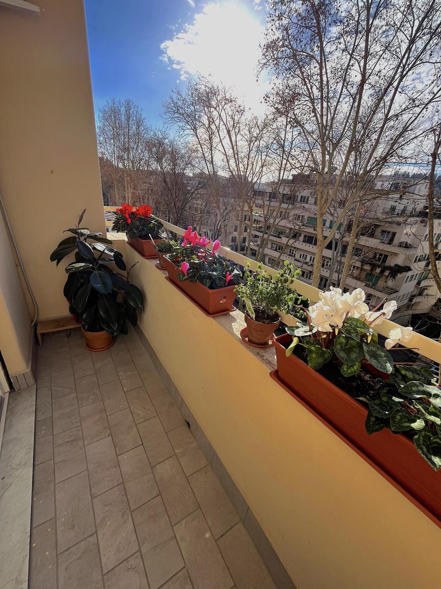 Appartement Angelico