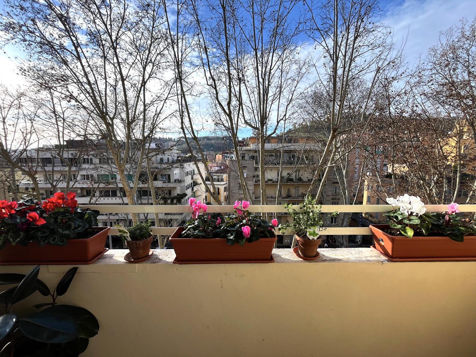 Appartement Angelico *